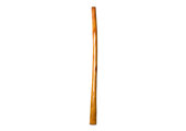 Gloss Finish Didgeridoo (TW1422)